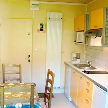 Confort Fonctionnel, Navette Au Pied, Proche Centre & Pistes - Fr-1-814-29 *