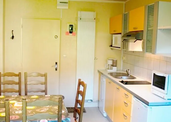 Confort Fonctionnel, Navette Au Pied, Proche Centre&pistes - Fr-1-814-29 *