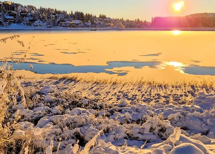 Confort Fonctionnel, Navette Au Pied, Proche Centre&pistes - Fr-1-814-29 Appartement Super-Besse